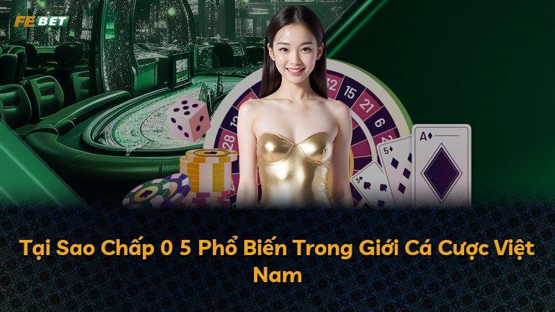 Tại Sao Chấp 0 5 Phổ Biến Trong Giới Cá Cược Việt Nam