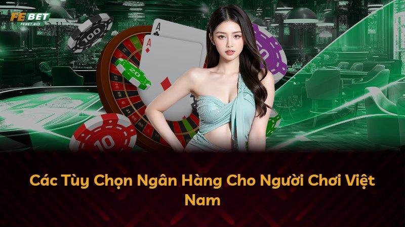 Các Tùy Chọn Ngân Hàng Cho Người Chơi Việt Nam