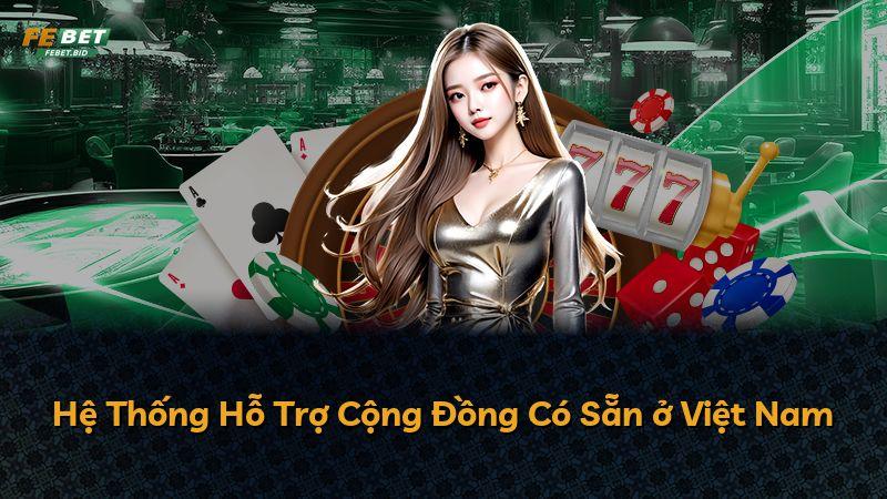Hệ Thống Hỗ Trợ Cộng Đồng Có Sẵn ở Việt Nam
