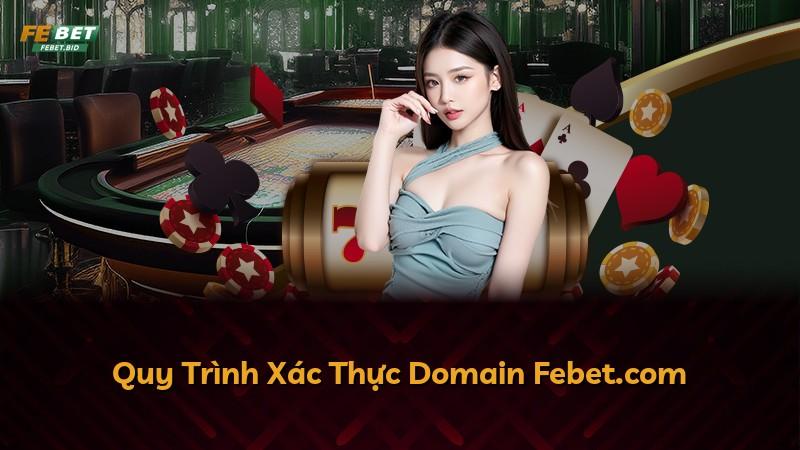 Quy Trình Xác Thực Domain Febet.com