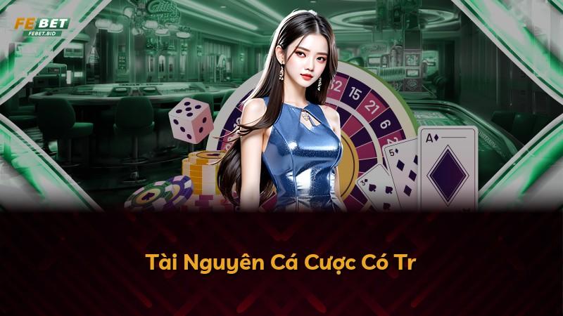 Tài Nguyên Cá Cược Có Tr