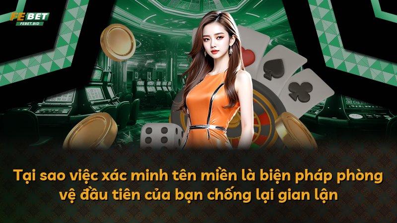 Tại sao việc xác minh tên miền là biện pháp phòng vệ đầu tiên của bạn chống lại gian lận