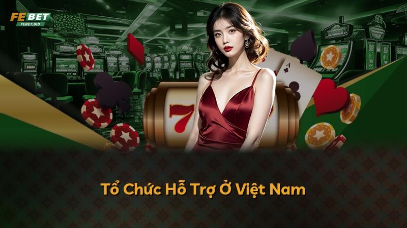 Tổ Chức Hỗ Trợ Ở Việt Nam